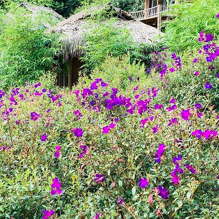 Pu Luong Cuisine Garden Homestay Lang Bang 外观 照片