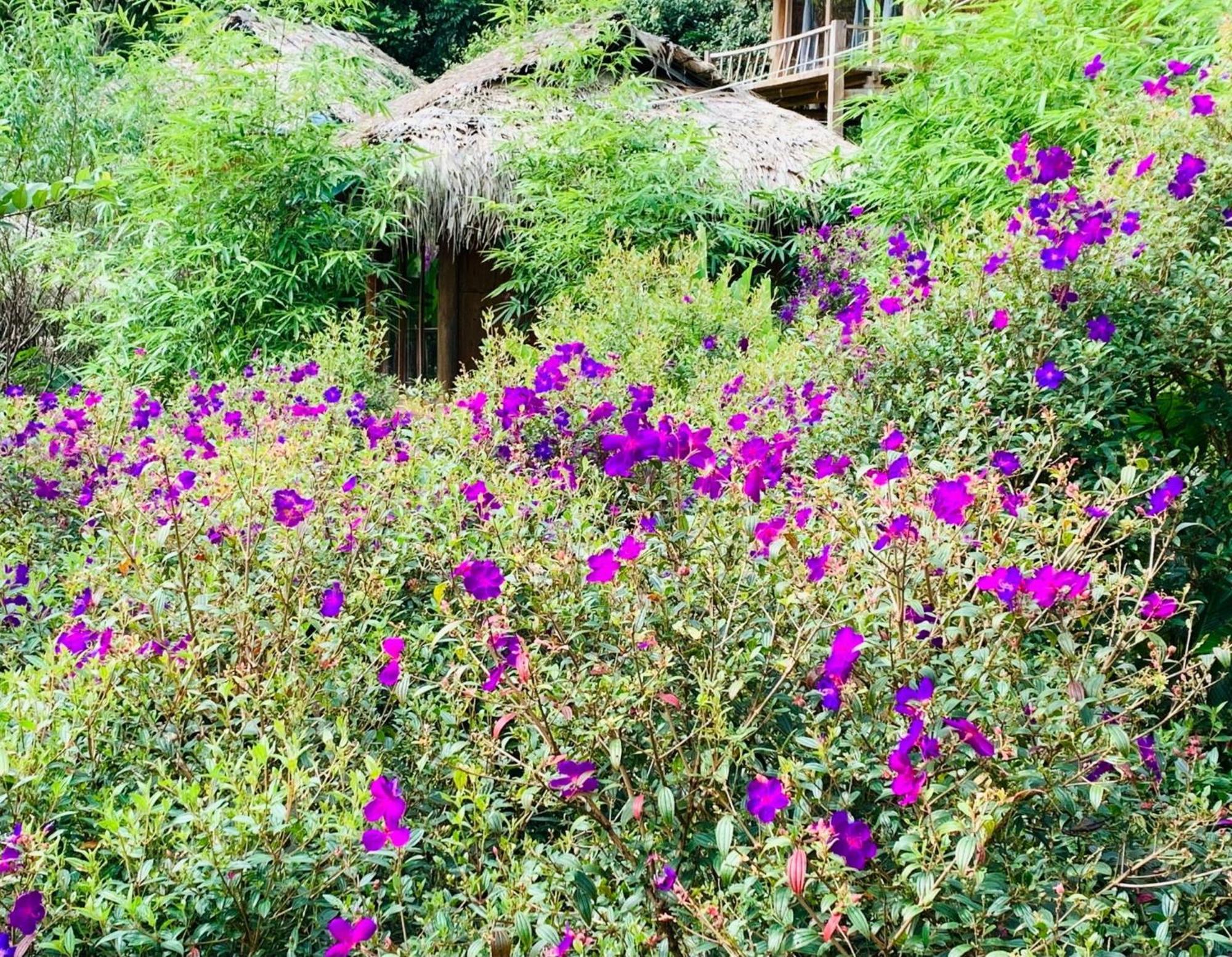 Pu Luong Cuisine Garden Homestay Lang Bang 外观 照片
